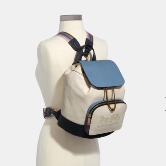 COACH Jes Backpack in Color Block display picture 3